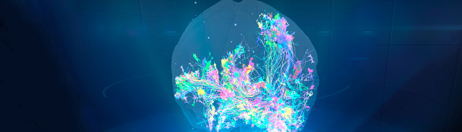 中國科學家聯合發布介觀腦圖譜系列成果實現從嚙齒類到靈長類大腦的跨越